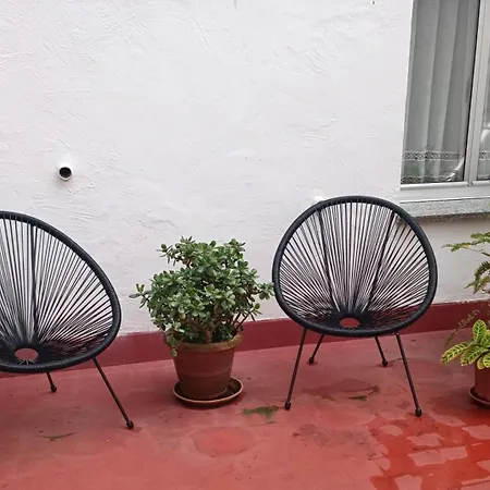 Apartment En La Ciudad, Con Patio -parking Gratis